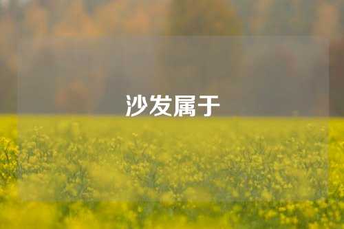 沙发属于