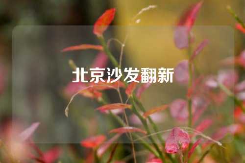北京沙发翻新