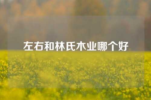 左右和林氏木业哪个好