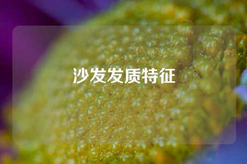 沙发发质特征