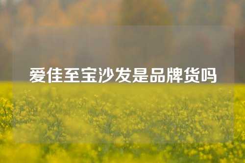 爱佳至宝沙发是品牌货吗