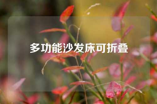 多功能沙发床可折叠