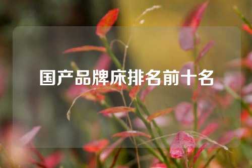 国产品牌床排名前十名