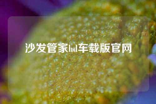 沙发管家hd车载版官网