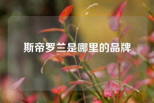 斯帝罗兰是哪里的品牌