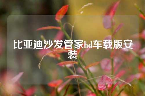 比亚迪沙发管家hd车载版安装