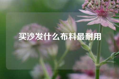 买沙发什么布料最耐用