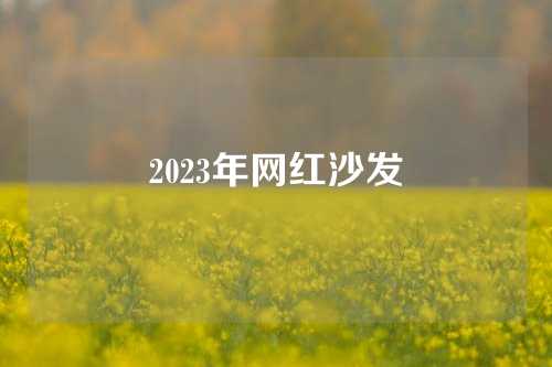 2023年网红沙发