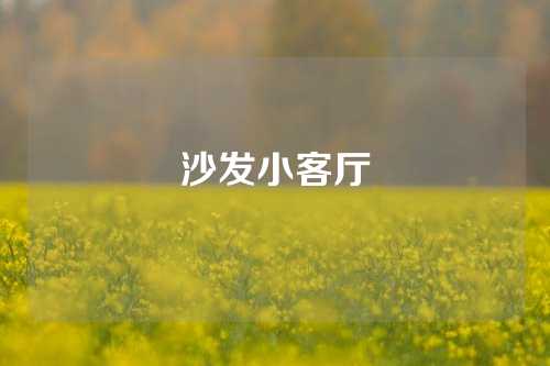 沙发小客厅