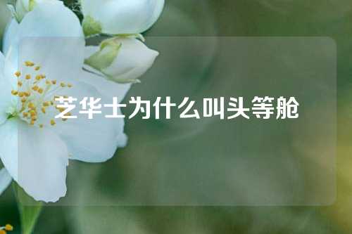 芝华士为什么叫头等舱
