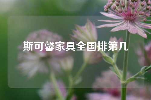 斯可馨家具全国排第几
