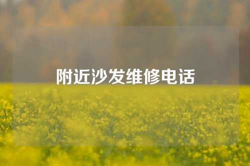附近沙发维修电话