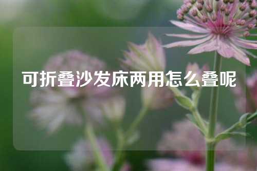 可折叠沙发床两用怎么叠呢