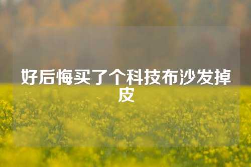 好后悔买了个科技布沙发掉皮