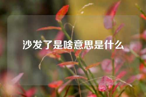 沙发了是啥意思是什么