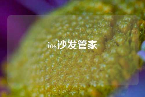 ios沙发管家