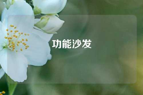 功能沙发