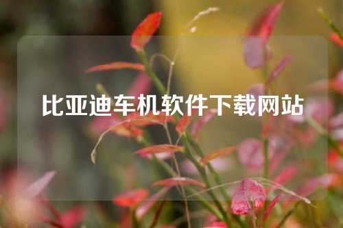 比亚迪车机软件下载网站