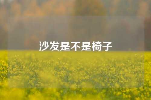 沙发是不是椅子