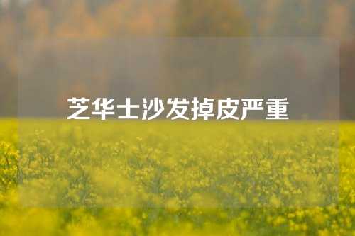 芝华士沙发掉皮严重