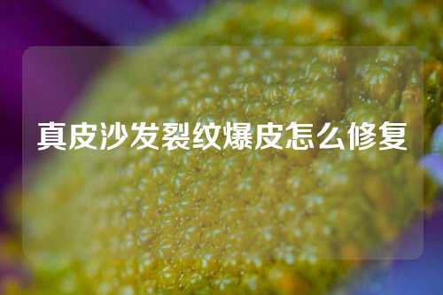真皮沙发裂纹爆皮怎么修复