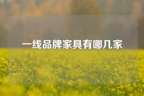 一线品牌家具有哪几家