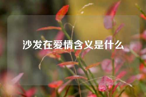 沙发在爱情含义是什么