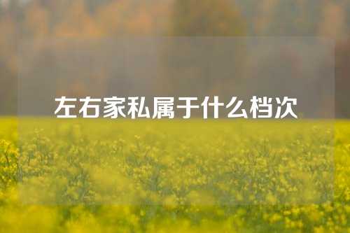 左右家私属于什么档次