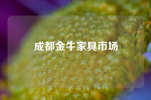 成都金牛家具市场