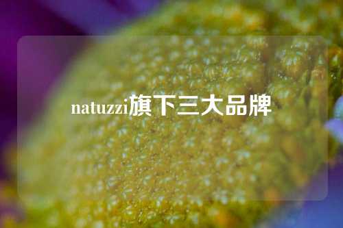 natuzzi旗下三大品牌