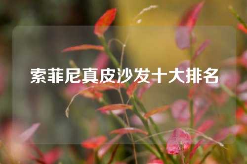 索菲尼真皮沙发十大排名