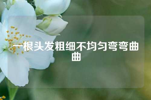一根头发粗细不均匀弯弯曲曲