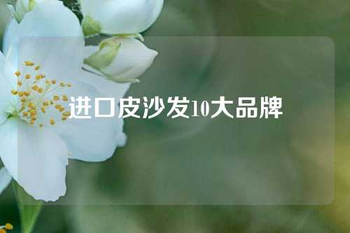 进口皮沙发10大品牌