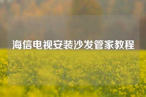 海信电视安装沙发管家教程