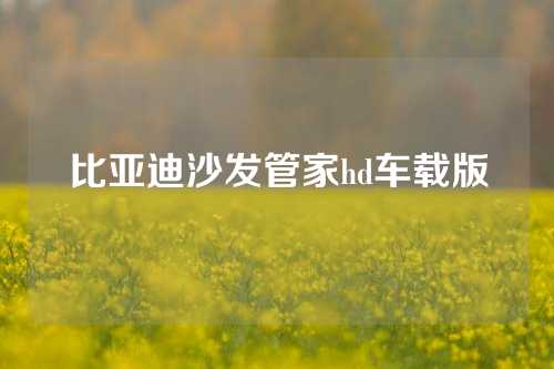 比亚迪沙发管家hd车载版