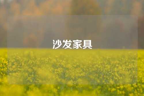 沙发家具