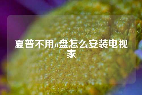 夏普不用u盘怎么安装电视家