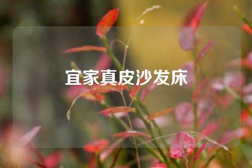宜家真皮沙发床