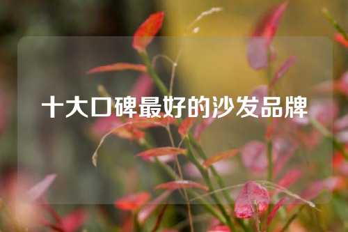 十大口碑最好的沙发品牌