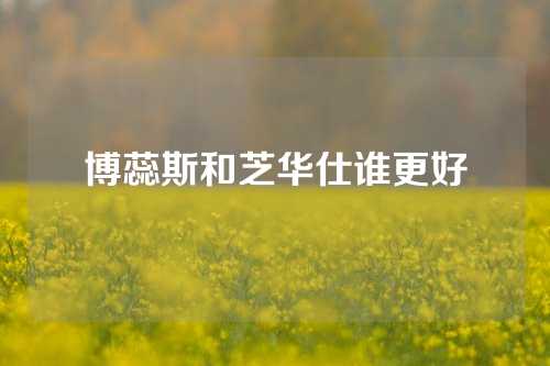 博蕊斯和芝华仕谁更好