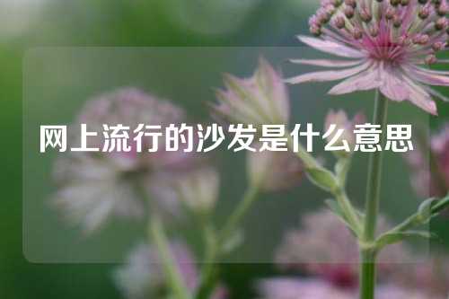 网上流行的沙发是什么意思