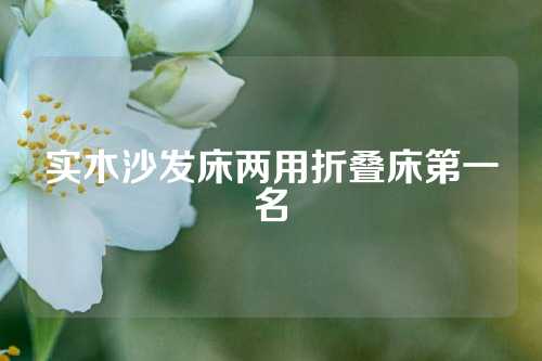 实木沙发床两用折叠床第一名