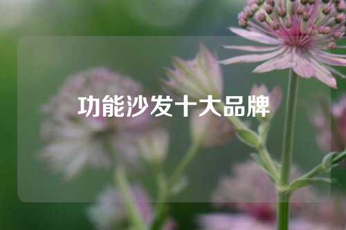 功能沙发十大品牌
