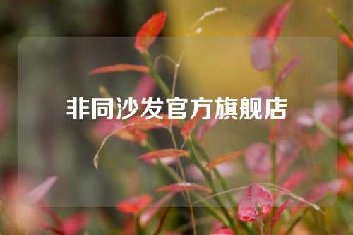 非同沙发官方旗舰店