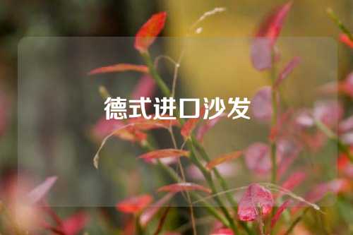 德式进口沙发