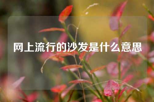 网上流行的沙发是什么意思