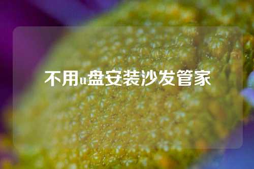 不用u盘安装沙发管家