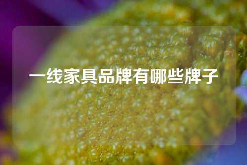 一线家具品牌有哪些牌子