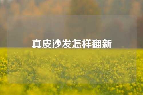 真皮沙发怎样翻新