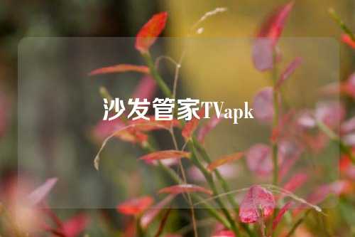 沙发管家TVapk